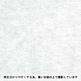 26/-BD TOP精梳棉天竺針織 色號 01
