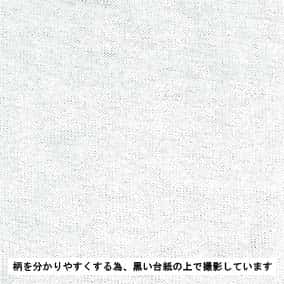 30/2精梳緊密天竺針織 色號 01