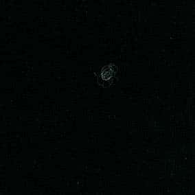 聖華金棉雙紗天竺針織 色號 02