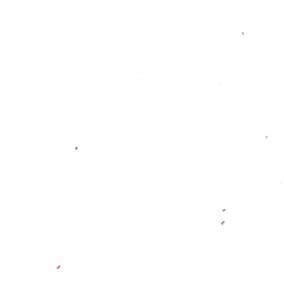 20/1彈力羅紋針織 色號 01