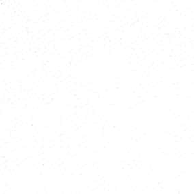 30s×10s東馬棉圈布 色號 11