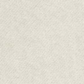 30s×10s東馬棉圈起毛布 色號 08
