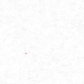 30s×7s毛圈針織 色號 02