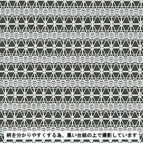 拉舍爾幾何橫條蕾絲 色號 01