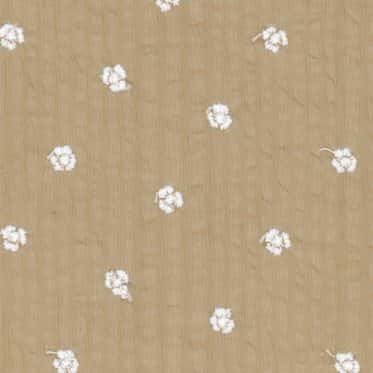 80支細棉布彈波刺繡蕾絲 色號 06
