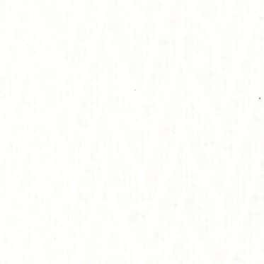 棉80支細棉布歐根紗泡泡布 色號 01