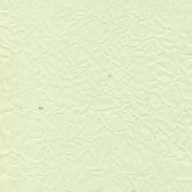 20d皺感薄紗 色號 14