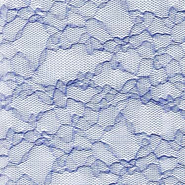 聚酯纖維透明蕾絲寬幅 色號 12