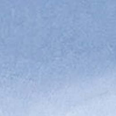 100/1 緞面 GENDAI 色號 10