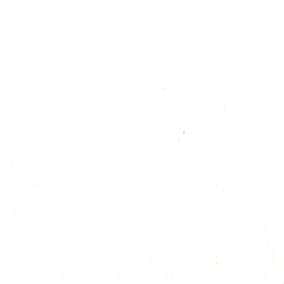 RE;NAPES®再生聚酯緞面彈性布 色號 04