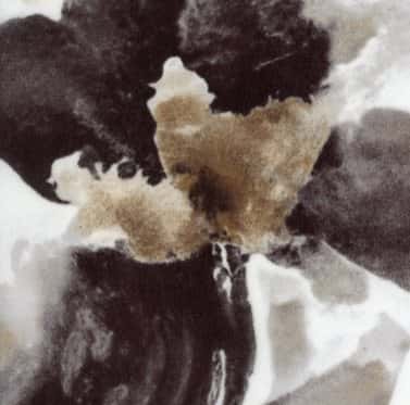 緞面歐根紗多色印花 色號 03