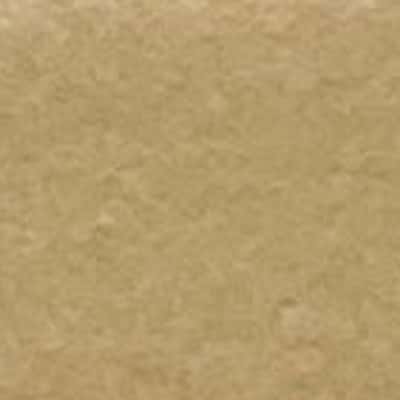 PLUM 超細纖維羊羔絨雙面布 色號 12