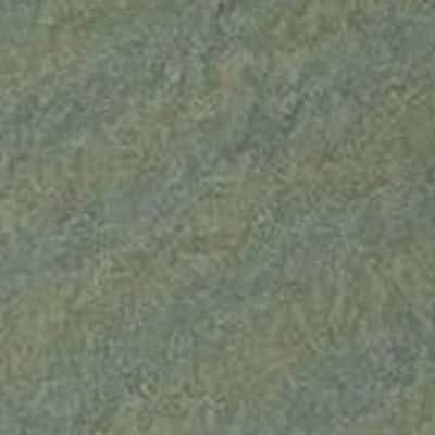 SILK LIKE 雙層布 色號 11