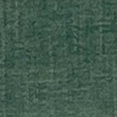 Plain Natuester 歐根紗 色號 12