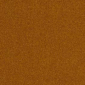 LANATEC(R) LEI 縐紗布 色號 06