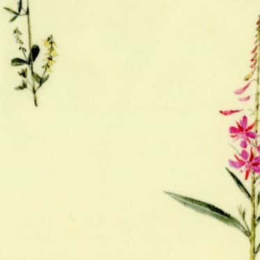 New Venus素縐緞寬幅噴墨印花 色號 02