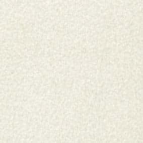 聚酯纖維/嫘縈厚毛料刷毛布 色號 01