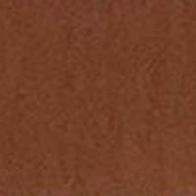 萊賽爾尼龍彈性府綢 色號 14