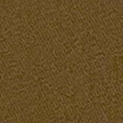 MELTY DRY 輕量卡其布 色號 05