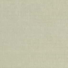 發光止滑紋透明塔夫綢 C0 色號 05