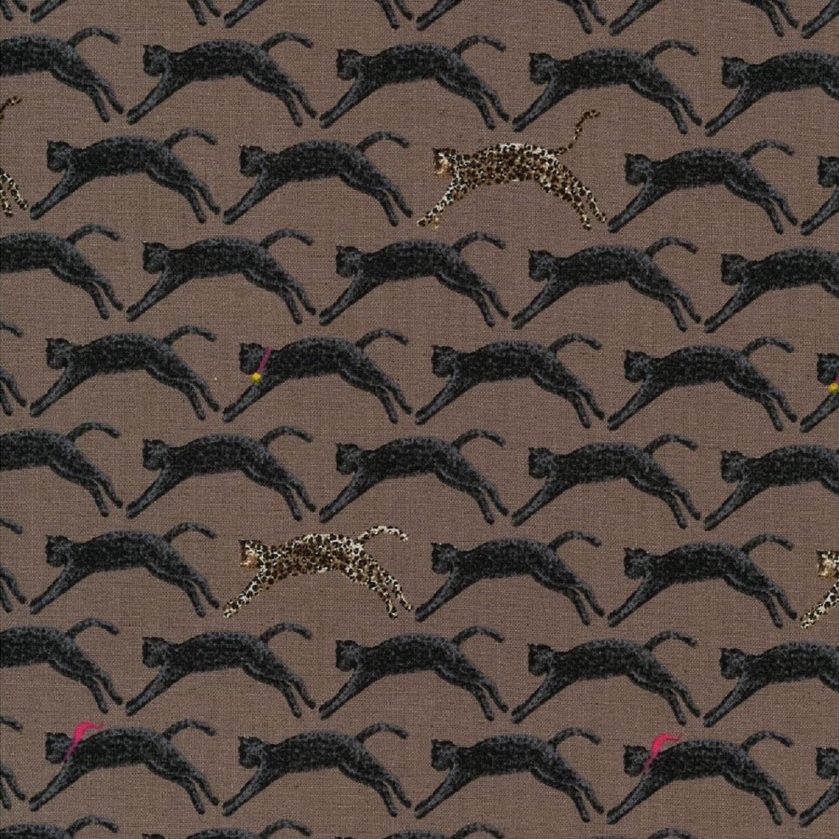 猫柄 色號 02