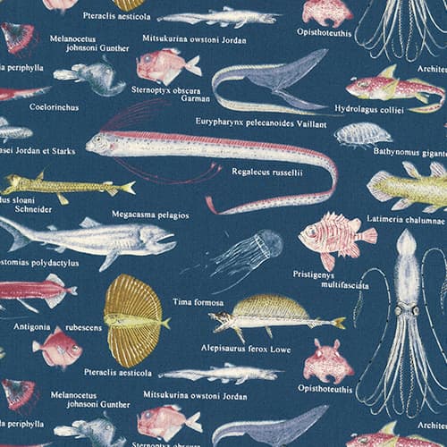 魚柄 色號 03