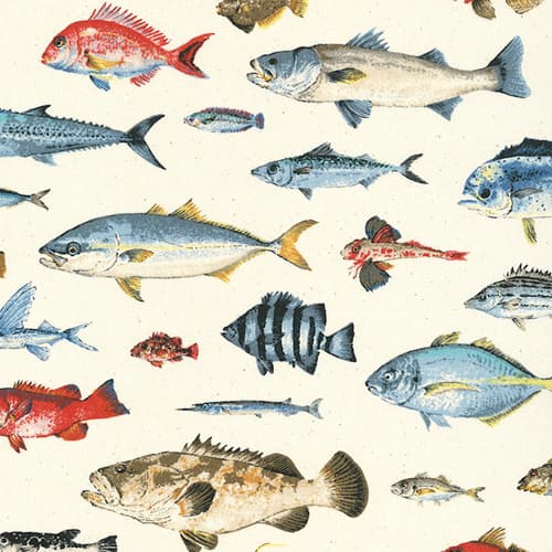 魚柄