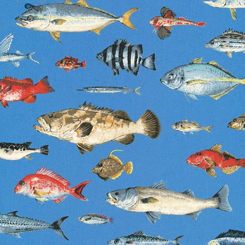 魚柄 色號 02