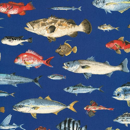 魚柄 色號 03
