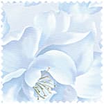 拼布圖案精梳平織布 色號 02