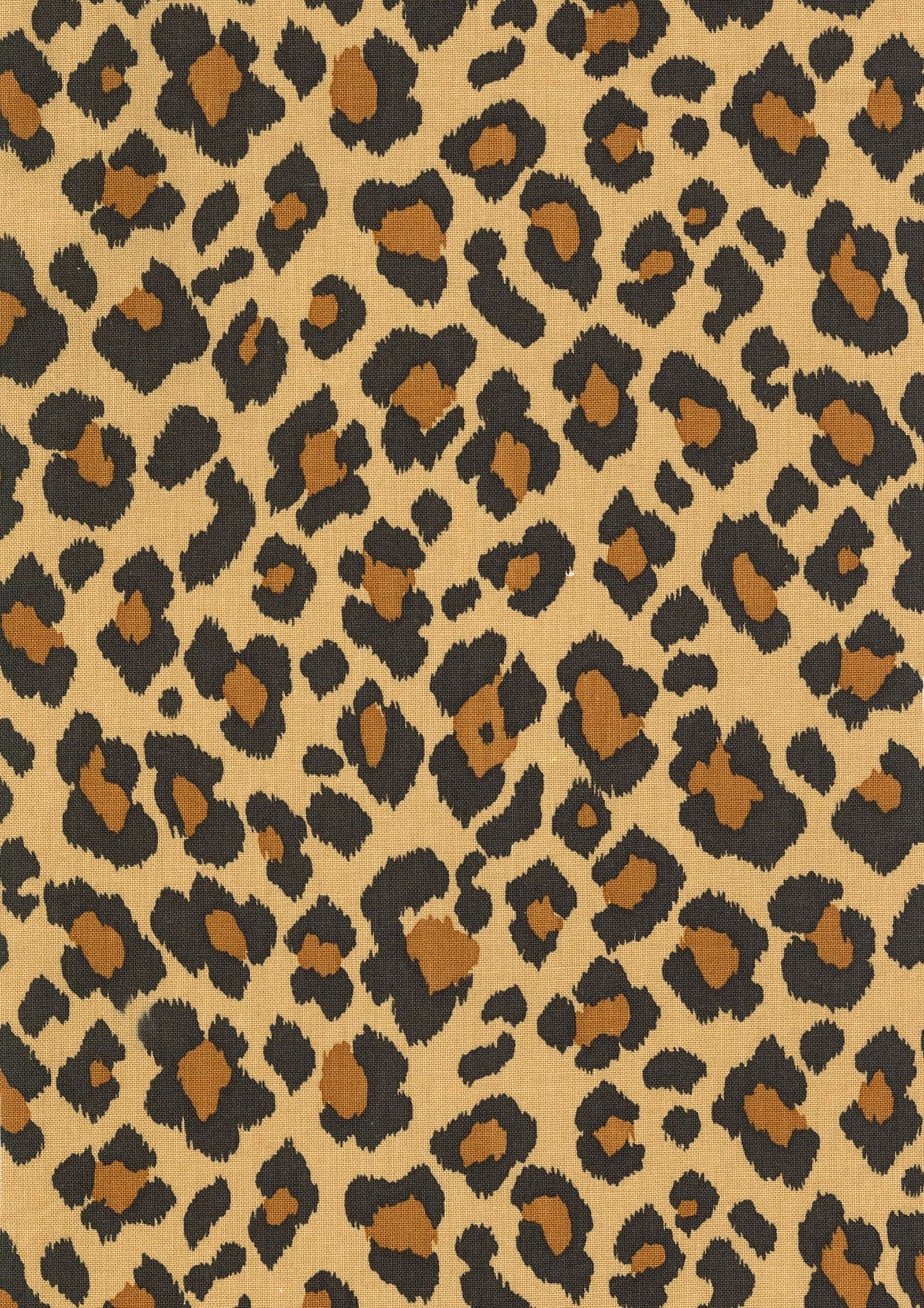 Animal pattern 色號 02