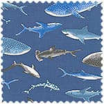 tiptop 牛津布 色號 03
