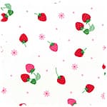 tiptop 牛津布