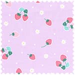 tiptop 牛津布 色號 04