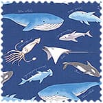 tiptop 牛津布 色號 04