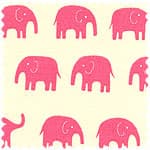 tiptop 牛津布 色號 02