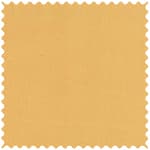tiptop_basic 牛津布 色號 04