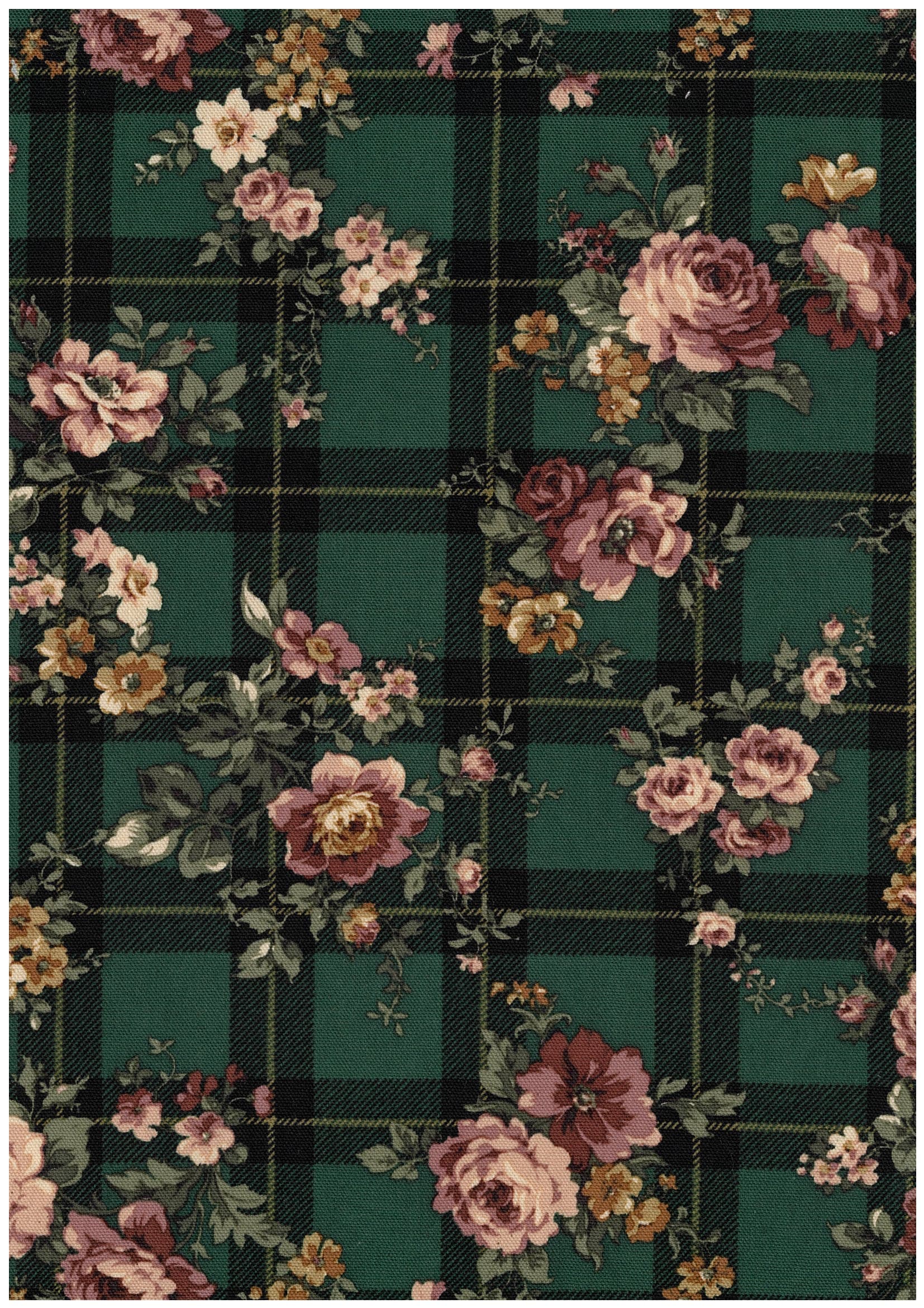 Classical rose 色號 07