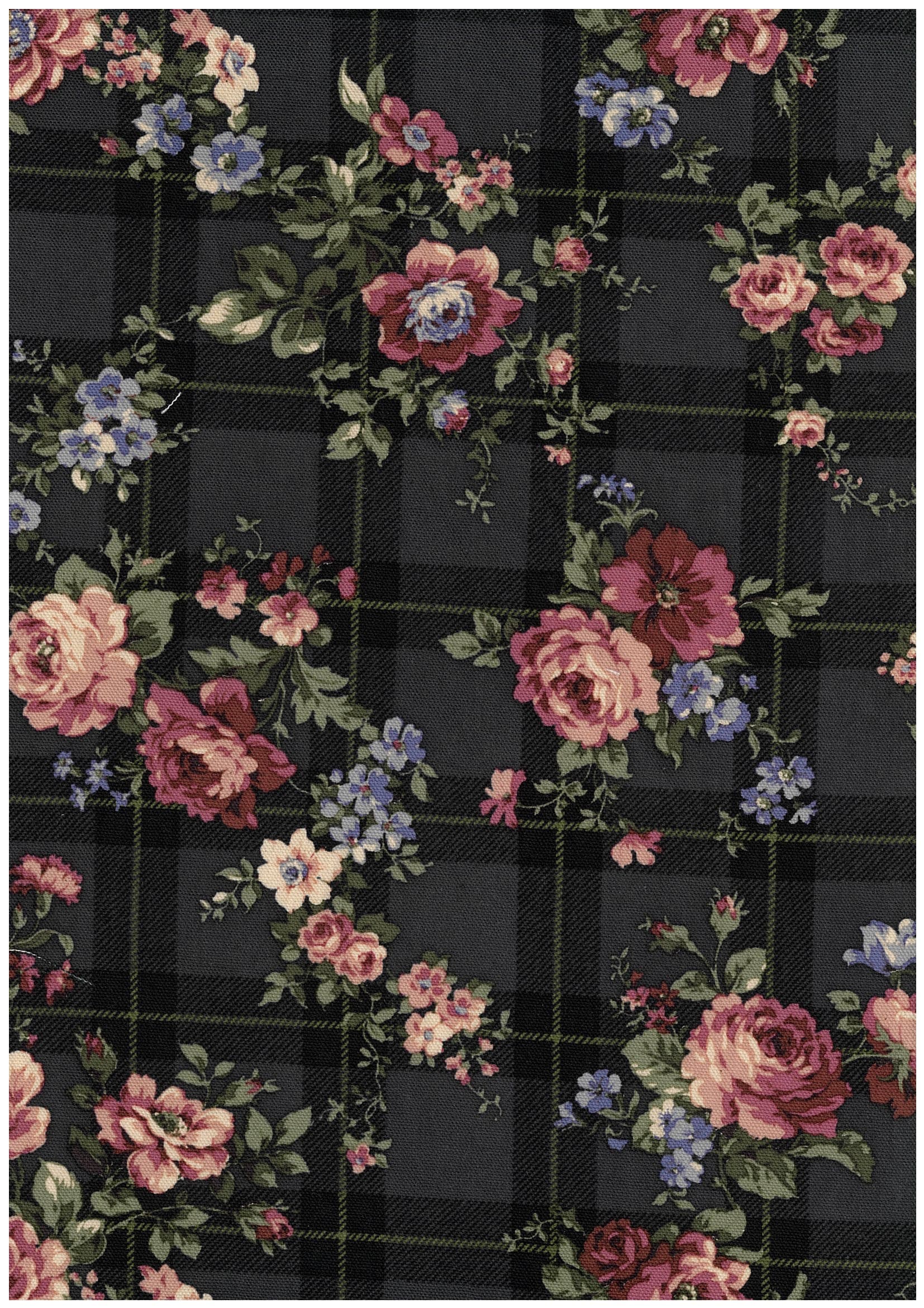 Classical rose 色號 08