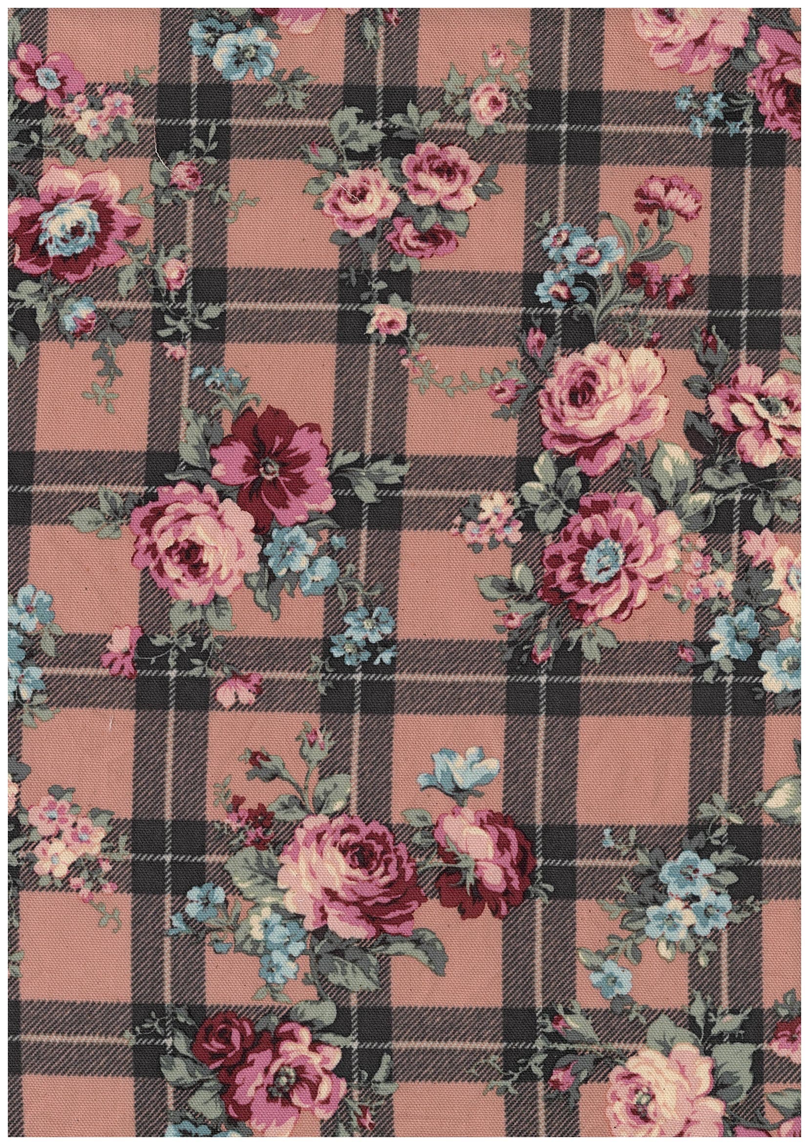 Classical rose 色號 09
