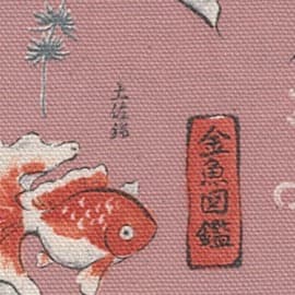 圖鑑系列 金魚圖鑑 色號 02