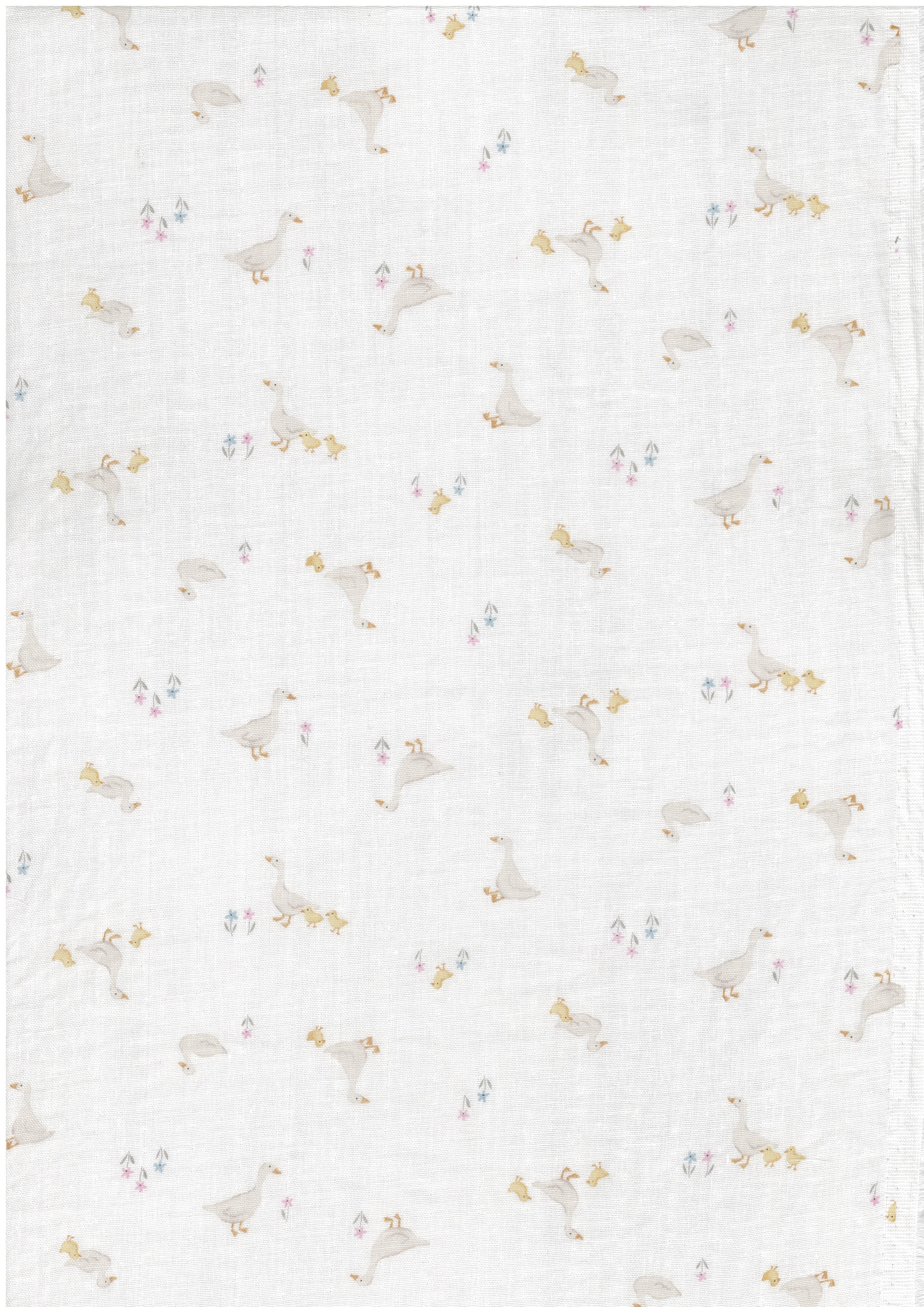 ROYALBABY 色號 05
