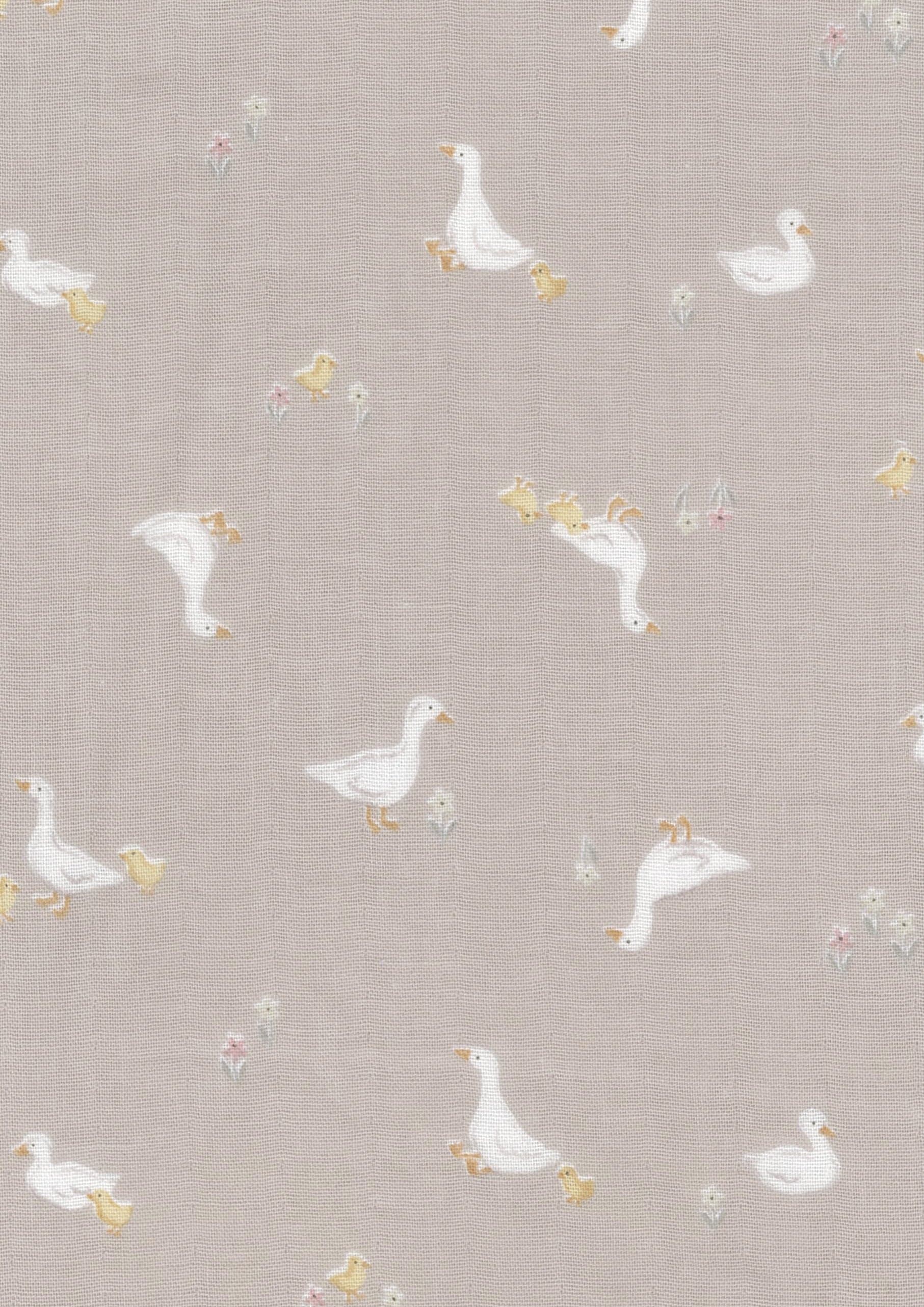 ROYALBABY 色號 08