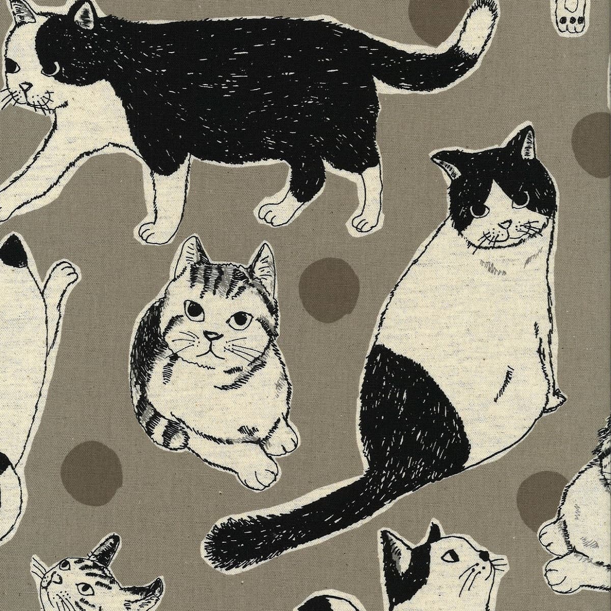 猫柄 色號 02