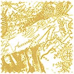 日本進口印花布