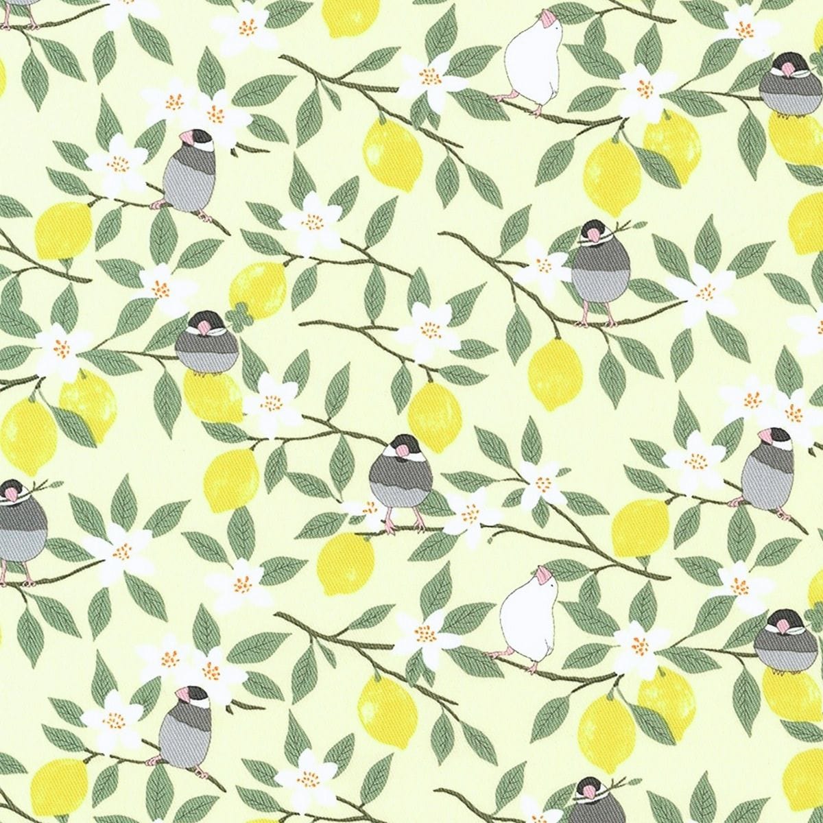 鳥類圖案斜紋布