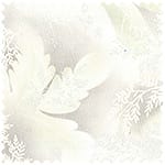 精梳平織布