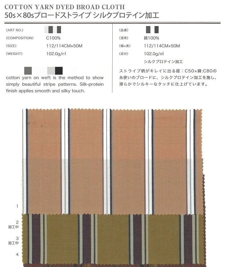 棉 先染府綢