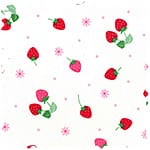 tiptop 牛津布