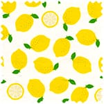 日本進口印花布